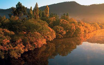 Derwent River Rafting