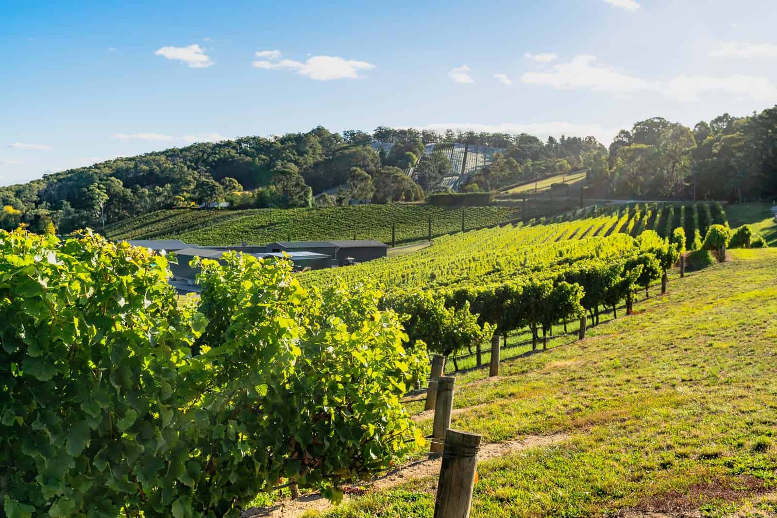 adelaide hills