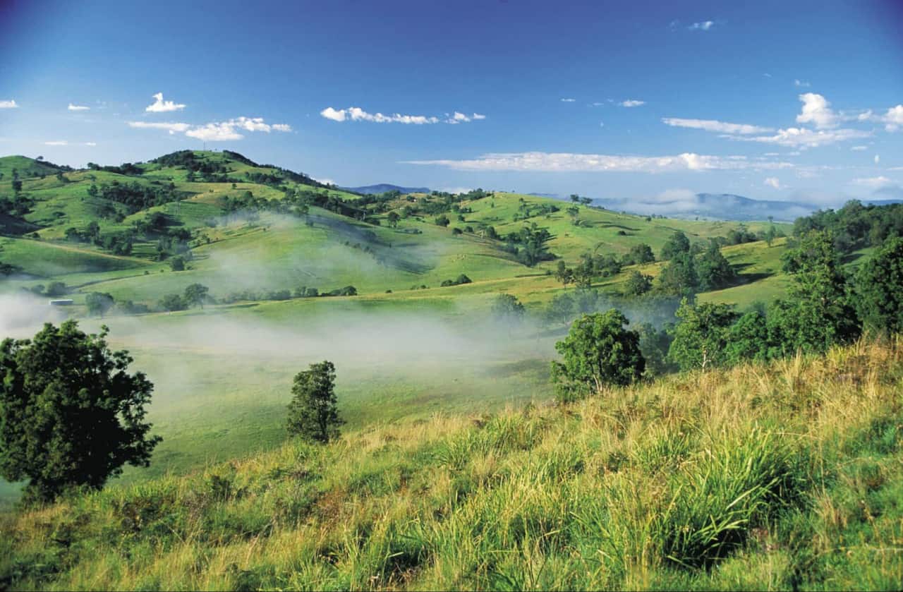 bega nsw