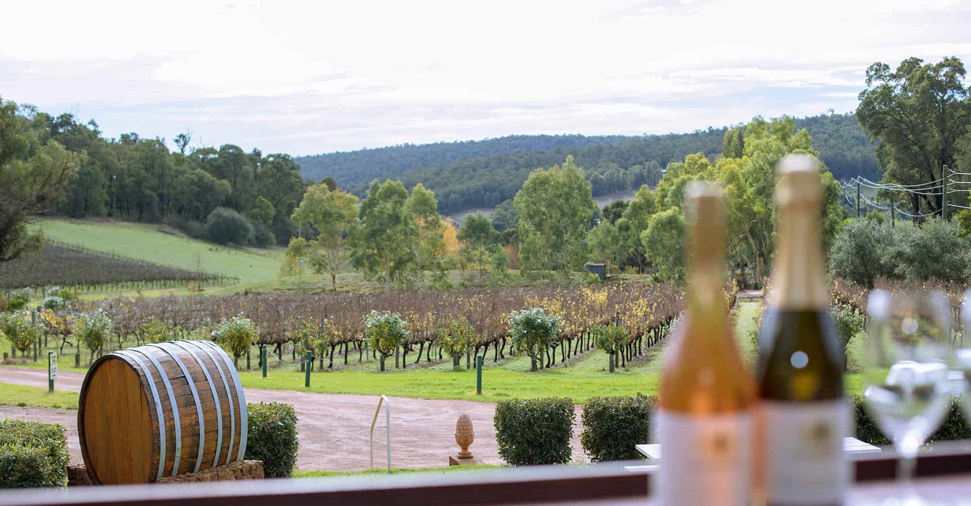 best things to do in bickley valley