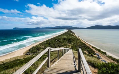 Best Things to Do in Bruny Island