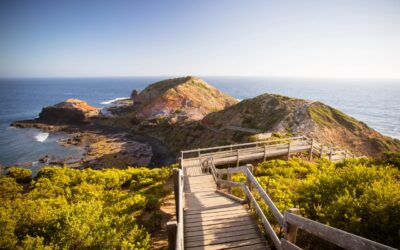 Exploring the Untamed Beauty of Cape Schanck: A Hidden Gem on Victoria’s Coast