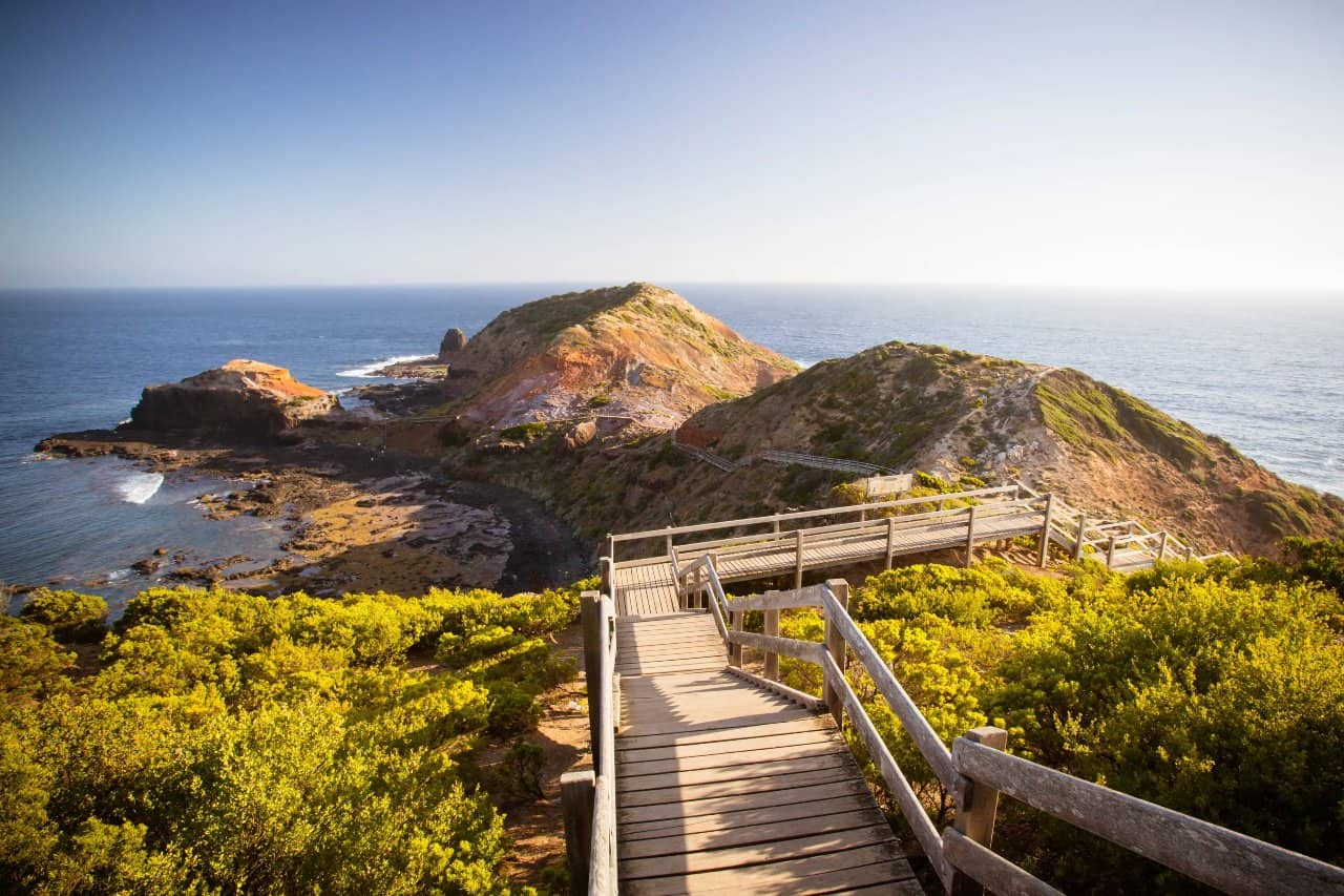best things to do in cape schanck