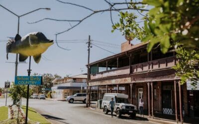 Exploring the Heart of Outback Queensland: A Comprehensive Guide to Charleville