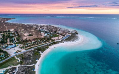 Discovering the Underwater Wonders of Coral Bay: A Traveler’s Guide