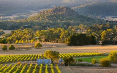 Discovering Daylesford: A Guide to Victoria’s Hidden Gem