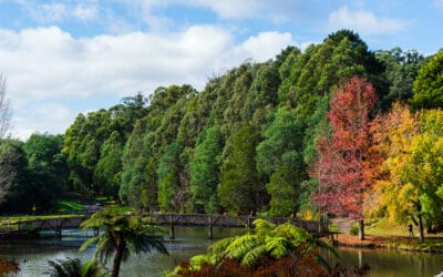 Emerald Unveiled: A Journey Through Australia’s Hidden Gem