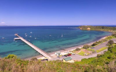 Discovering Flinders: A Coastal Gem and Beyond
