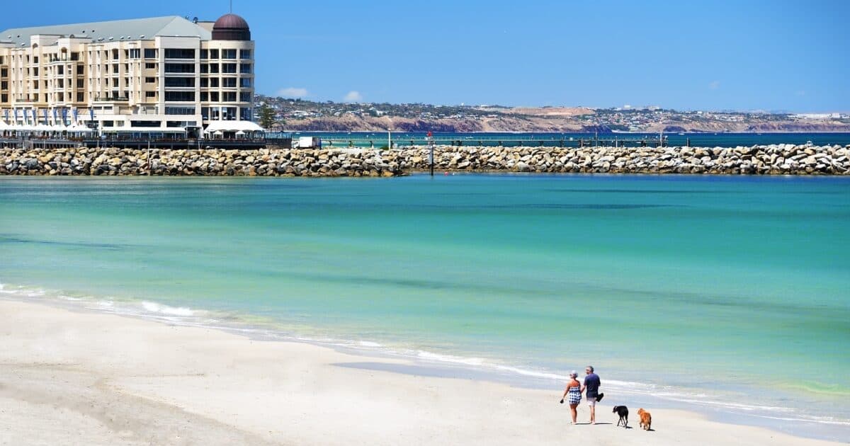 best things to do in glenelg