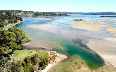 Exploring Mallacoota: The Hidden Gem of Victoria, Australia