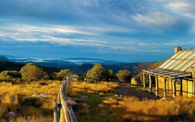 Discovering the Hidden Gems of Mansfield, Victoria