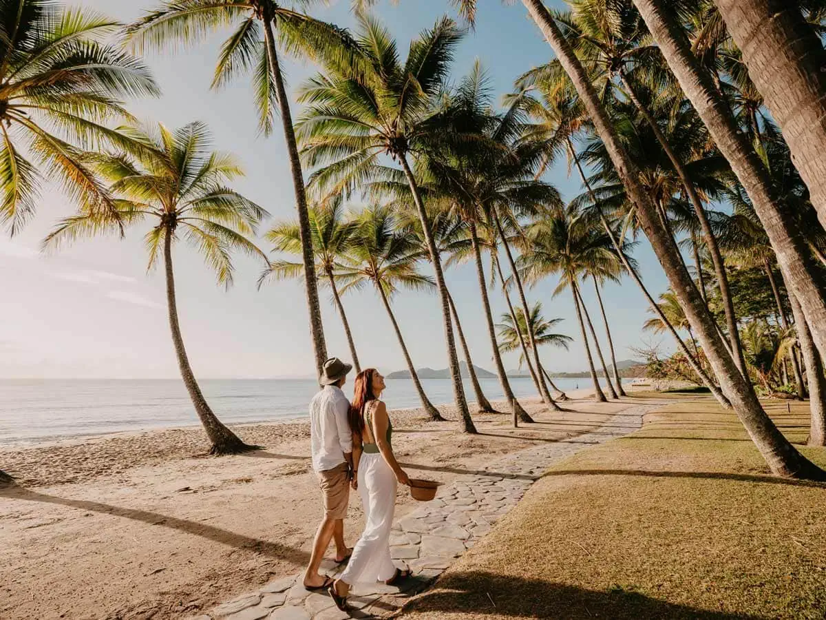 best things to do in palm cove