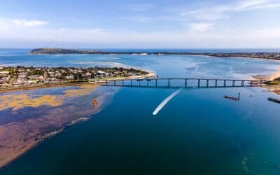 Best Things to Do in Phillip Island