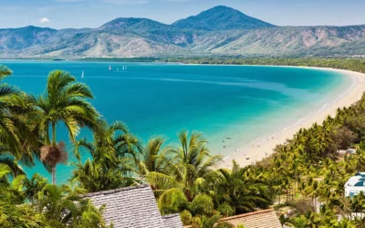 18 Best Things to Do in Port Douglas & Daintree: Your Complete Adventure Guide