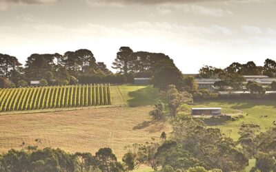 Exploring the Hidden Gems of Red Hill, Victoria: A Traveler’s Guide