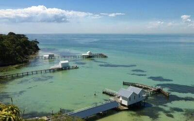 Best Things to Do in Sorrento