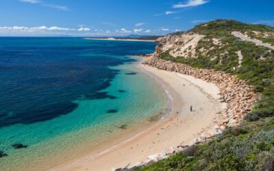 Best Things to Do in Tootgarook