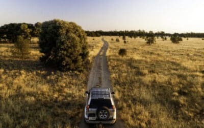 Best Things to do in Dalby