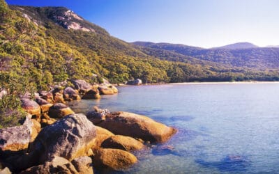 Best Things to do in Wilson’s Promontory