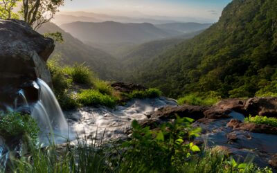 Travelling the Gold Coast Hinterland with Kids