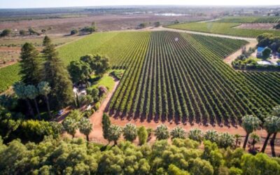 13 Best Things to do in Heathcote