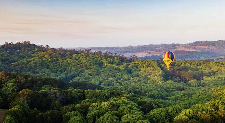 hot air balloon over byron bay with breakfast weekday