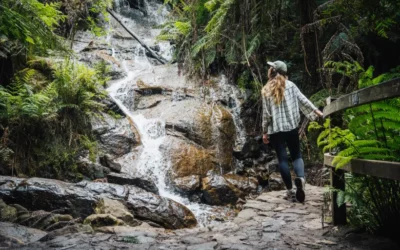 Exploring the Charms of Warburton, Victoria: A Comprehensive Guide
