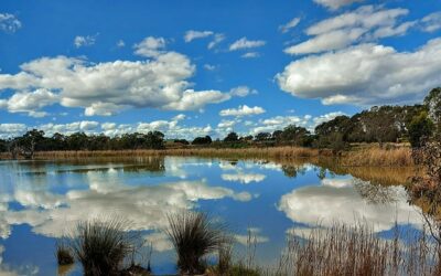 13 Best Things to do in Melton