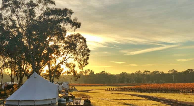 midweek winery glamping with breakfast and wine for 2