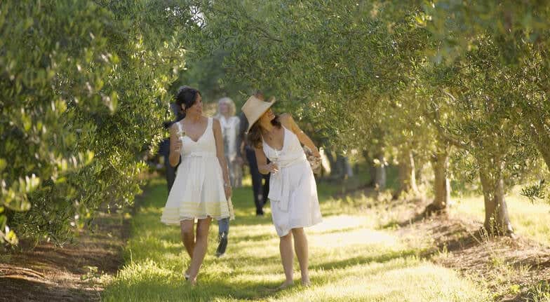 mornington peninsula private tour with lunch and wine for 2