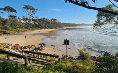 Exploring the Charm of Mollymook: A Traveler’s Guide