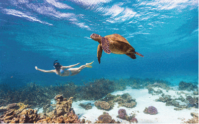 The Coral Coast, Western Australia