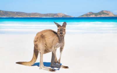 Discover Esperance: Western Australia’s Premier Coastal Paradise with Pristine Beaches and Adventure