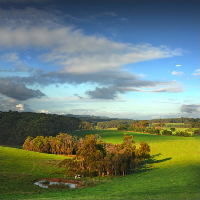 south gippsland travel guide