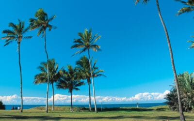 Discovering Bargara, Queensland: Australia’s Coastal Gem