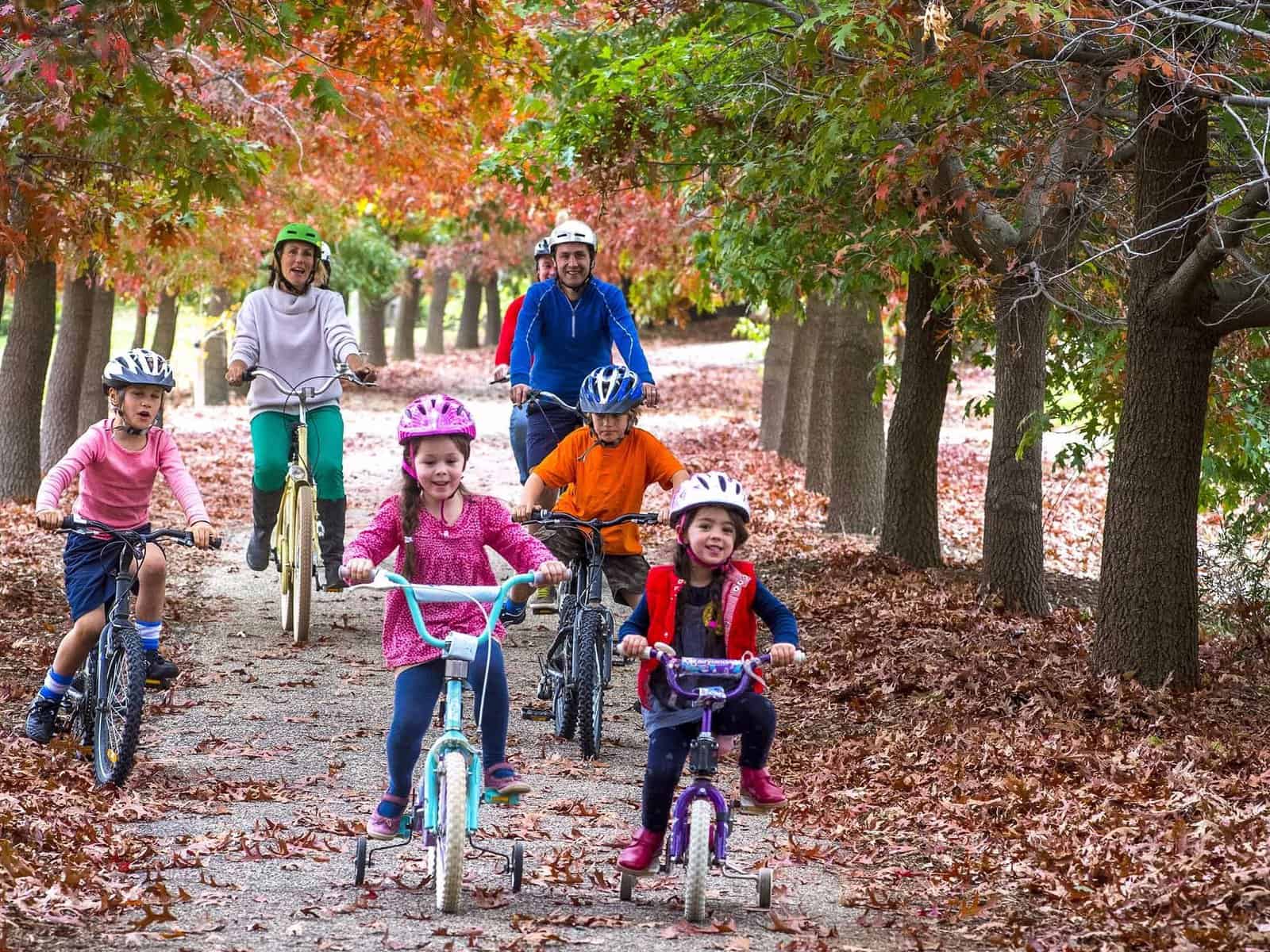 things to do in beechworth with kids