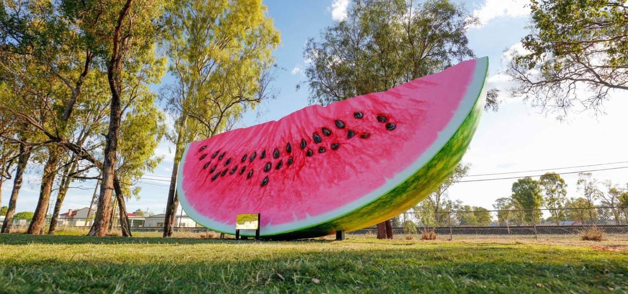 things to do in chinchilla things to do in chinchilla