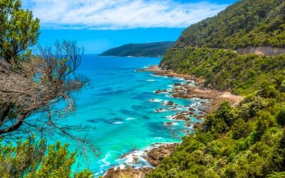 Things to Do in Lorne