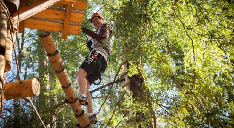 tree top ropes course