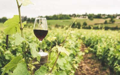 The Best Winery Lunch on the Mornington Peninsula